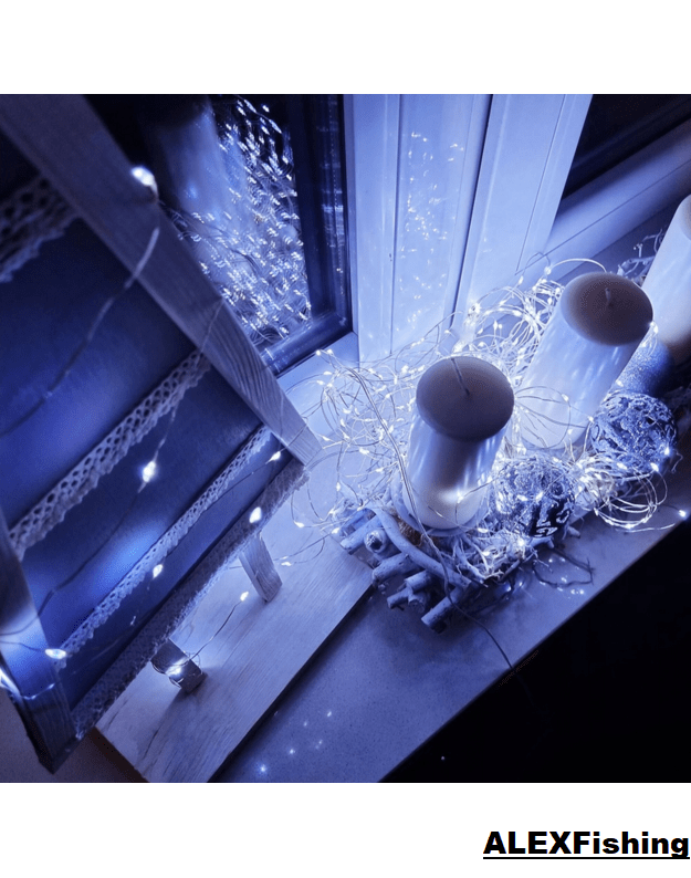 1000 Led lanksti vielos girlianda "Rasa" 100m Šalta balta 1