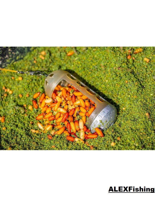Guru Caged Bait Up Window Feeder  40g + 50g