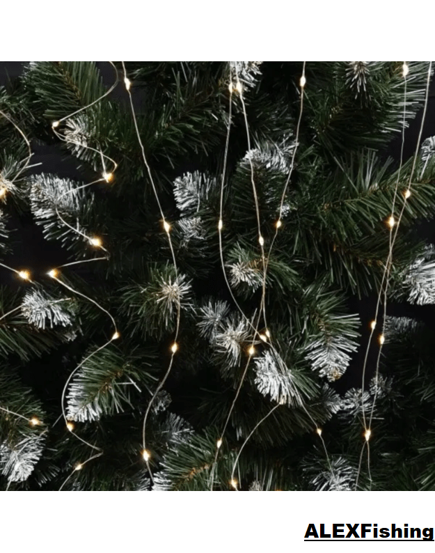 LED USB užuolaida - girlianda 300 Led 3x2m Šilta balta 11