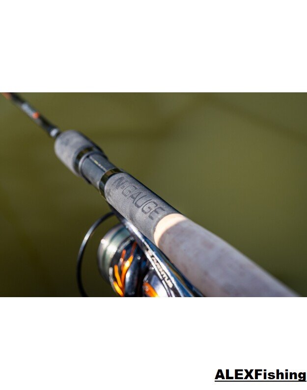 Plūdinės meškerės Guru N-Gauge Pro Float 14 ft 4.20m 1-20g 12