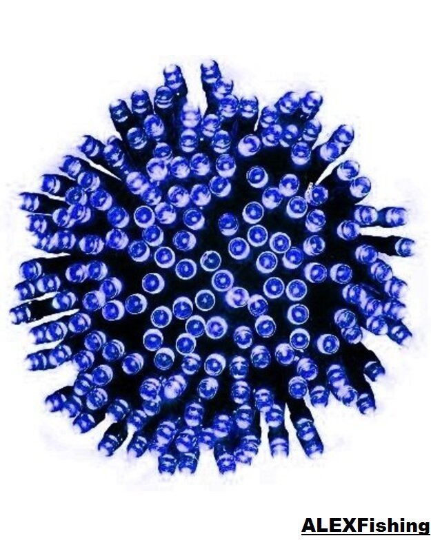 100 Led lempučių girlianda Mėlyna