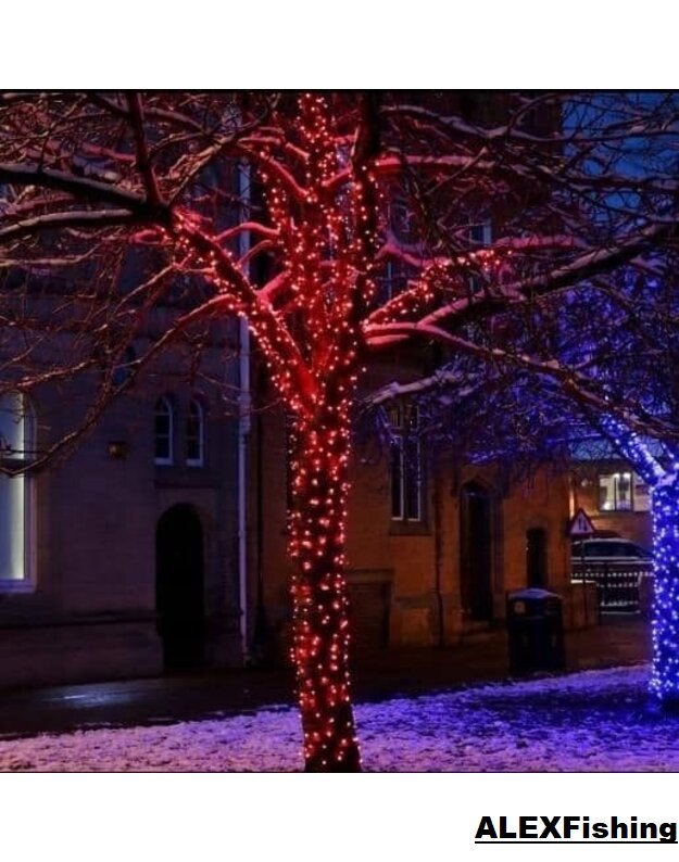 500 Led lempučių girlianda Raudona