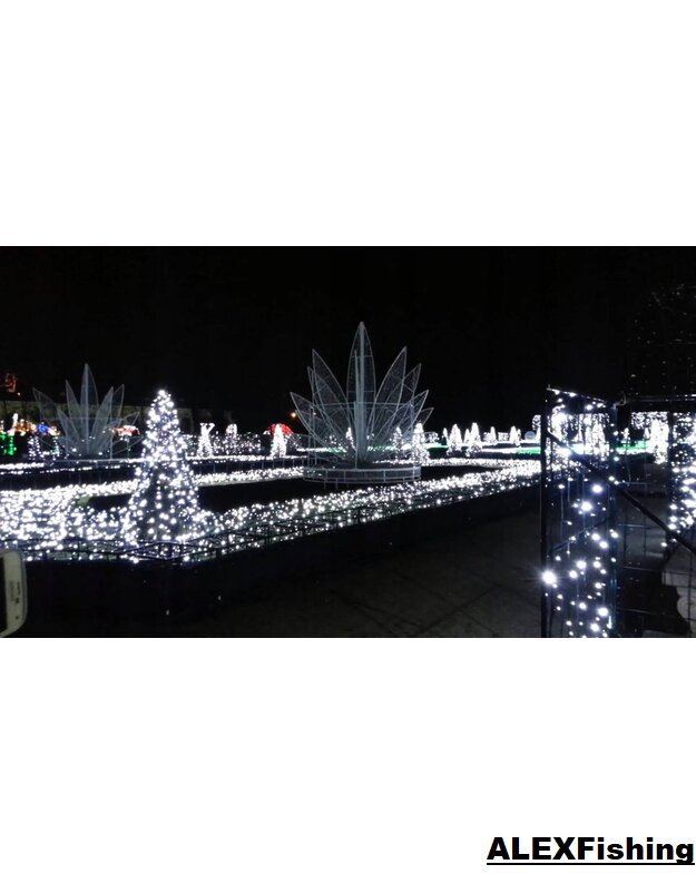 200 Led lempučių girlianda Šalta balta