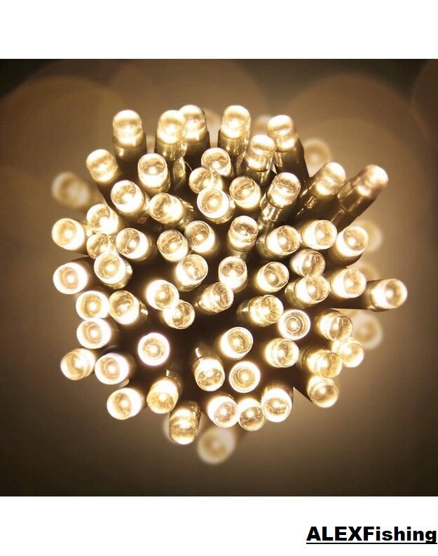 100 Led lempučių girlianda Šilta balta