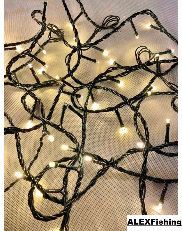 100 Led lempučių girlianda Šilta balta