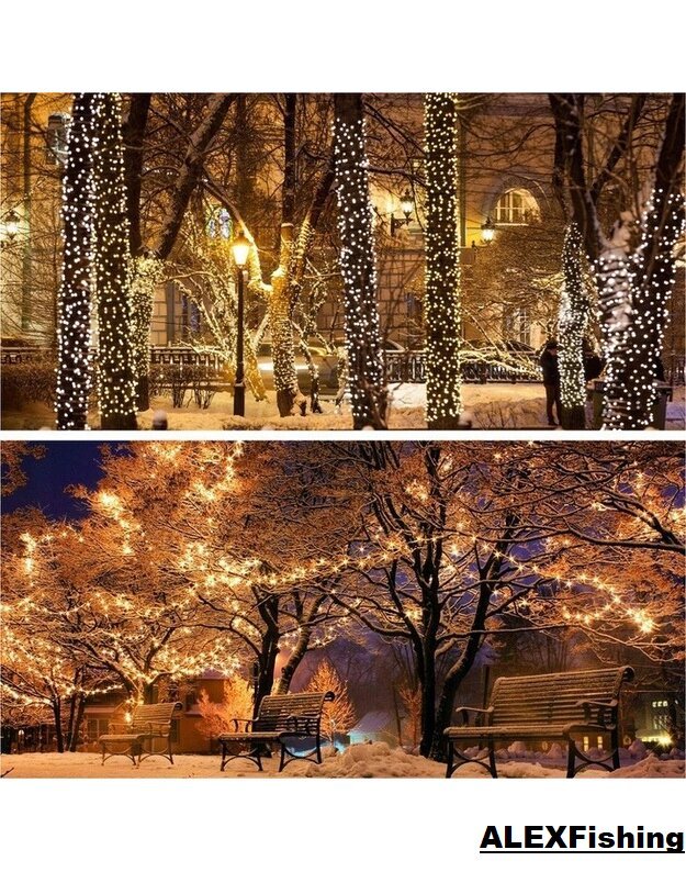 100 Led lempučių girlianda Šilta balta