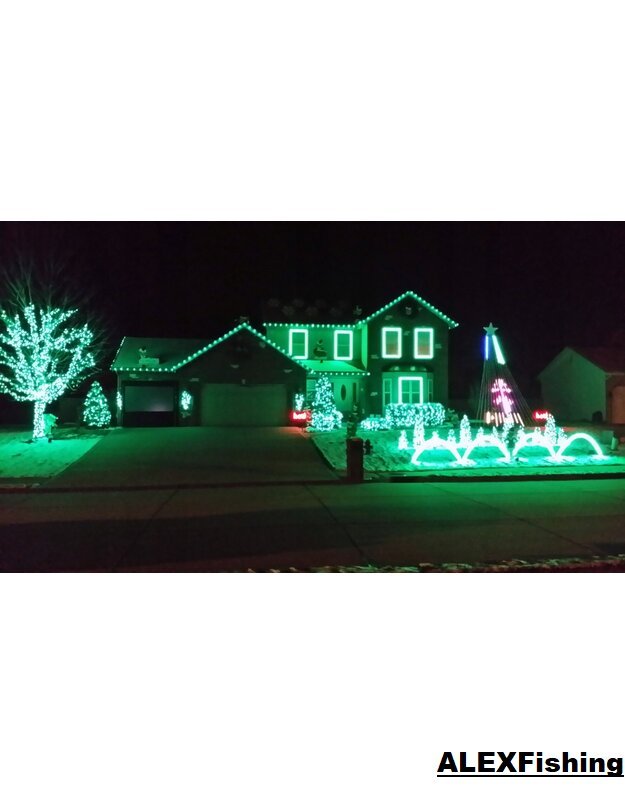 100 Led lempučių girlianda žalia