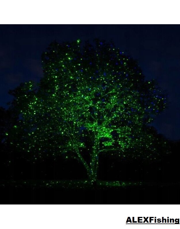 100 Led lempučių girlianda žalia